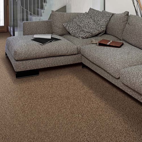 Shop for Carpet in Austin, TX from Floor King