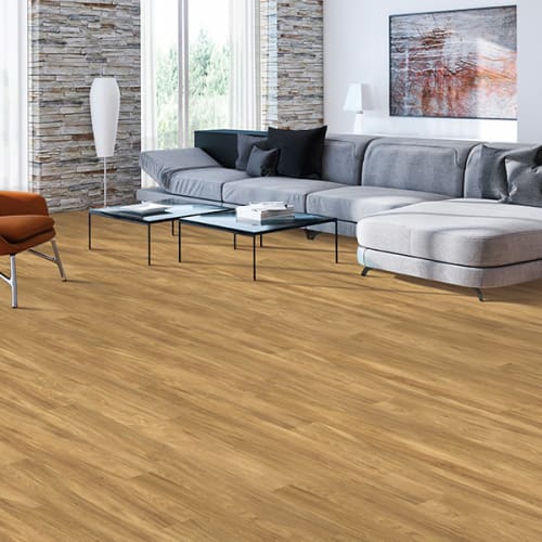 Luxury vinyl flooring in High Point, NC from Professional Carpet Systems