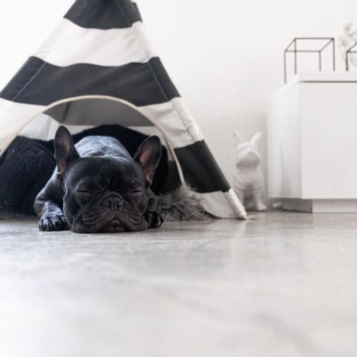 Polished concrete in Palm City, FL