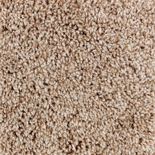 Shop for Carpet in Colorado Springs, CO from Carpet World Of Colorado Springs