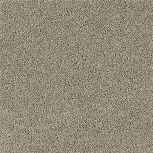 Shop for Carpet in Macon, GA from Suttles Flooring