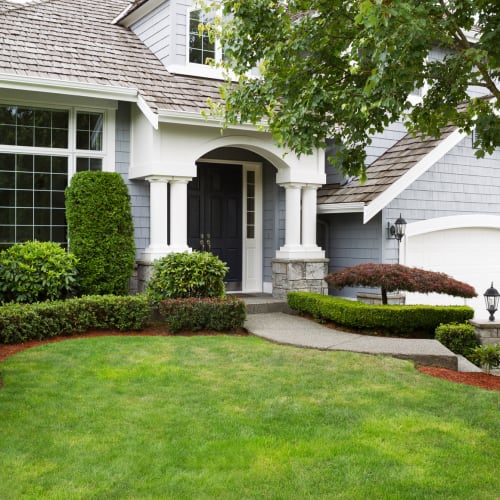 Shop for Exterior And Interior Paint in Issaquah, WA from Bellevue Design Center