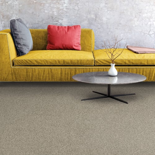 Shop for Carpet in North Palm Beach, FL from California Designs