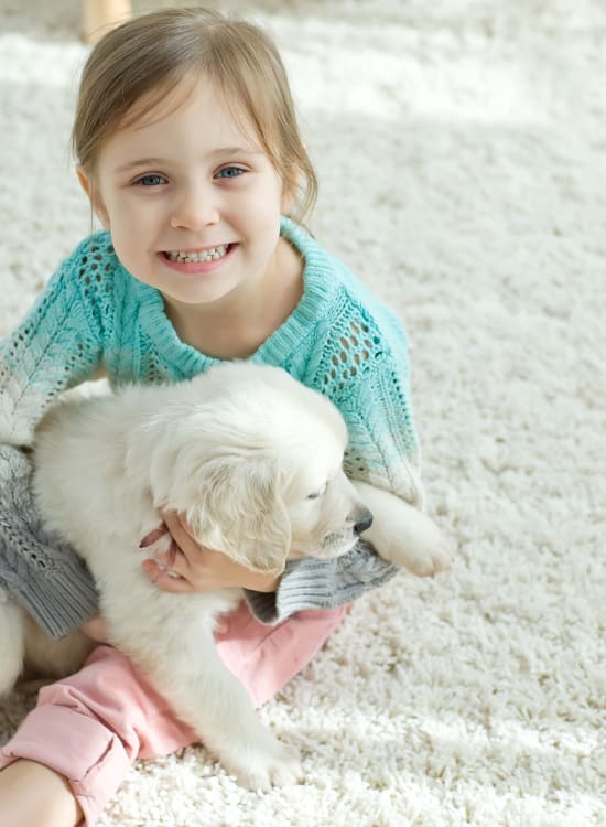 Luxury carpet in Fort Atkinson, WI from JM Carpets Flooring Design Center