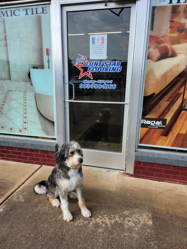 Flooring professionals serving the Hope, AR area