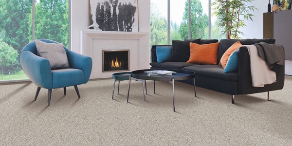 Carpet flooring inspiration in San Bernardino County from Hailo Flooring