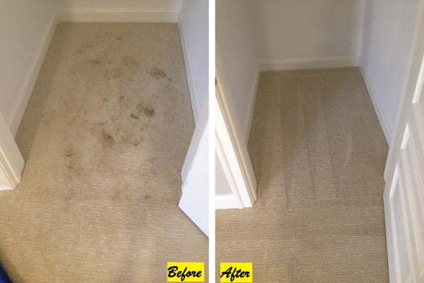 Cleaning services gallery in Amissville, VA