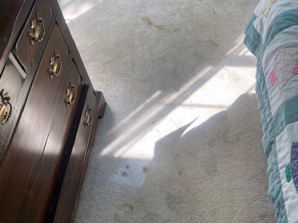 Cleaning Services Gallery in Amissville, VA
