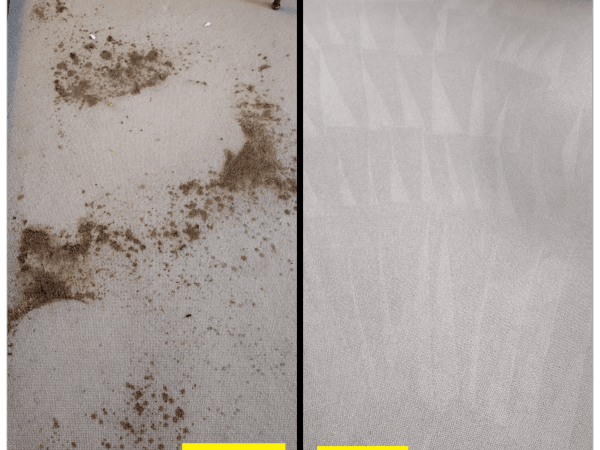 Cleaning Services Gallery in Amissville, VA