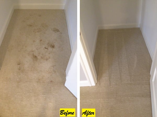 Cleaning Services Gallery in Amissville, VA
