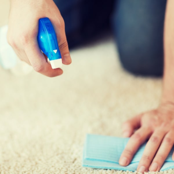 Carpet Maintenance & Cleaning Guide from Metro Flooring