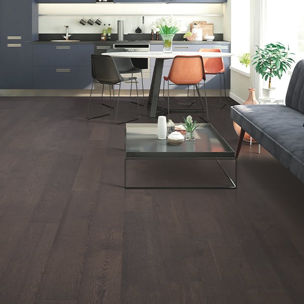 Get the modern living space of your dreams from Hailo Flooring