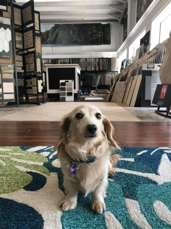 Your flooring experts serving the Murrells Inlet, SC area