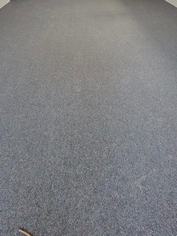 Carpet in Tecumseh, ON