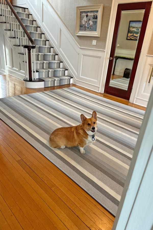 Carpet Trends stair & hall gallery in Rye, NY