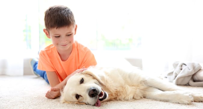 Flooring design professionals in the Colorado area - My Floor Now & More