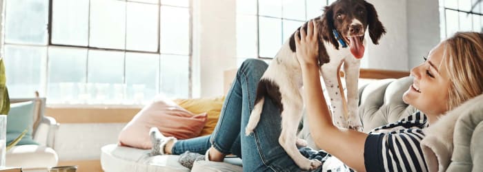 best flooring options for homeowners with pets