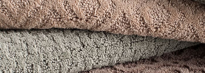how to clean mold & mildew in carpet