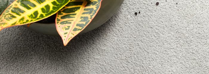 5 gorgeous, eco-friendly flooring options