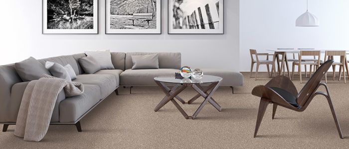 Carpet In Phoenix Or From Superior Carpet Service Inc