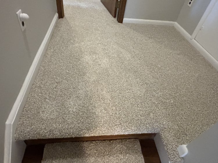Multi-color flooring in Pasadena, MD from Carpet Village