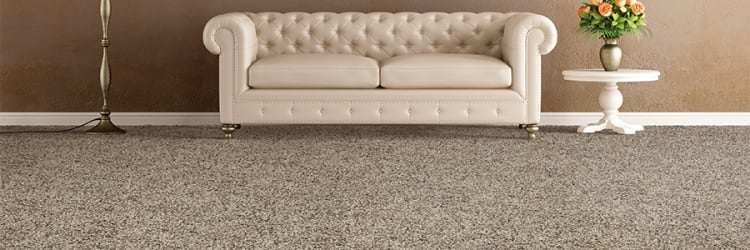 Tips for prolonging the life of your carpet