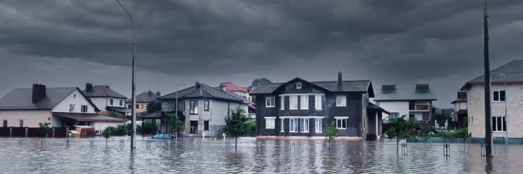 SolidTech Flooring is Hurricane-Proof