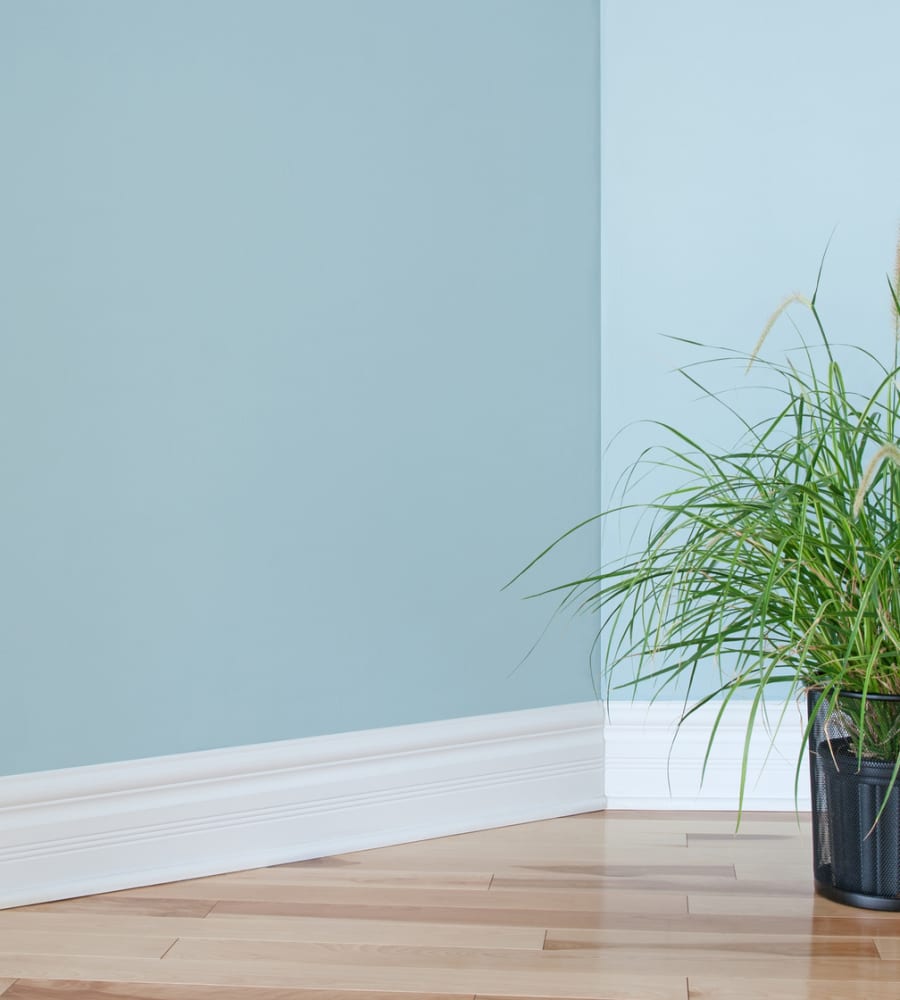  available in Ormond Beach, FL from Volusia Wholesale Flooring