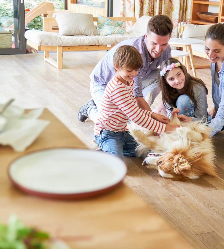Flooring design professionals in the Vancouver, WA area - Affordable Floors 