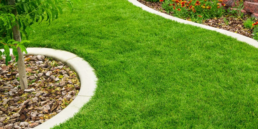 Turf in Nottingham, NH from Wilder Flooring