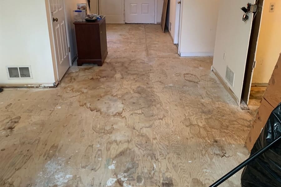 View work from Bogart's Carpet in the Ledgewood, NJ area