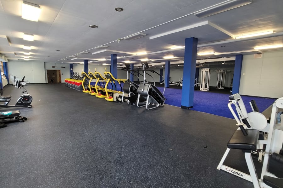 Gym turf and rubber, North Haledon, NJ
