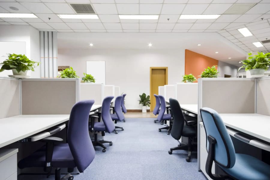 Commercial Carpet Flooring & Installation in Pompano Beach, FL from Paul's Carpet & Floor