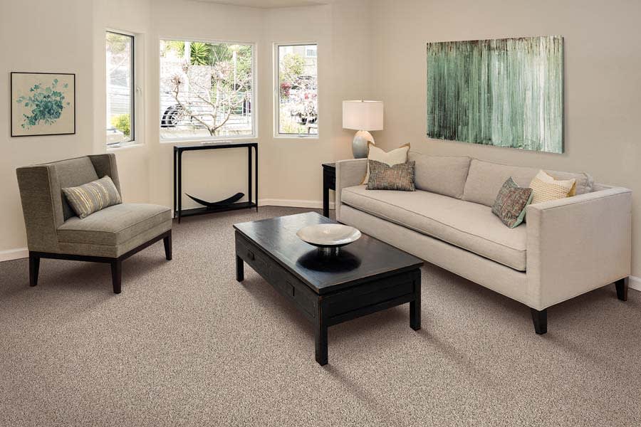 Carpet Padding in Coronado, CA from Discount Flooring 2U