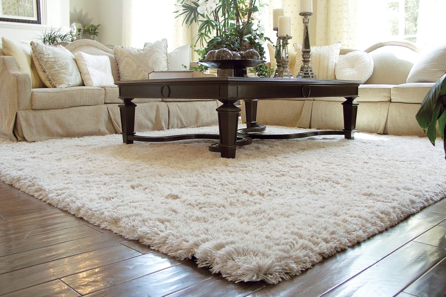 Durable area rug in Port Washington, NY from Anthony's World of Floors