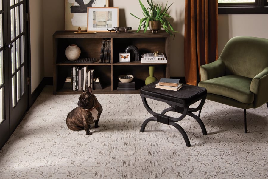 Durable carpet in Mill Valley, CA from City Carpets