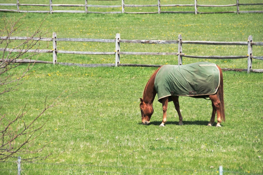 West VA Split Rail Fencing in City, State from Waterville Supply LLC