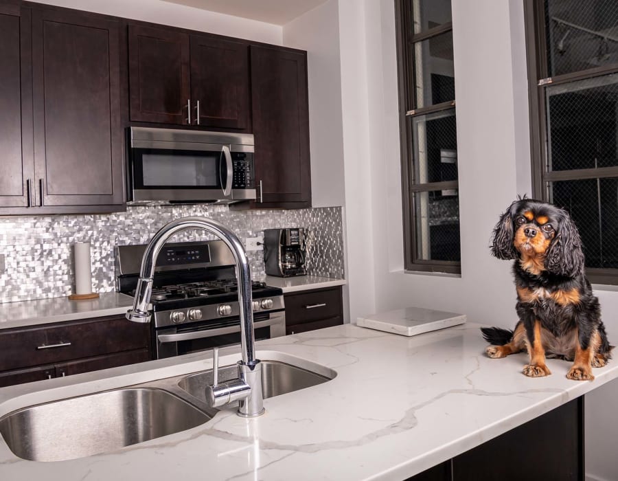 Countertops in Clermont, FL from PCM Floors