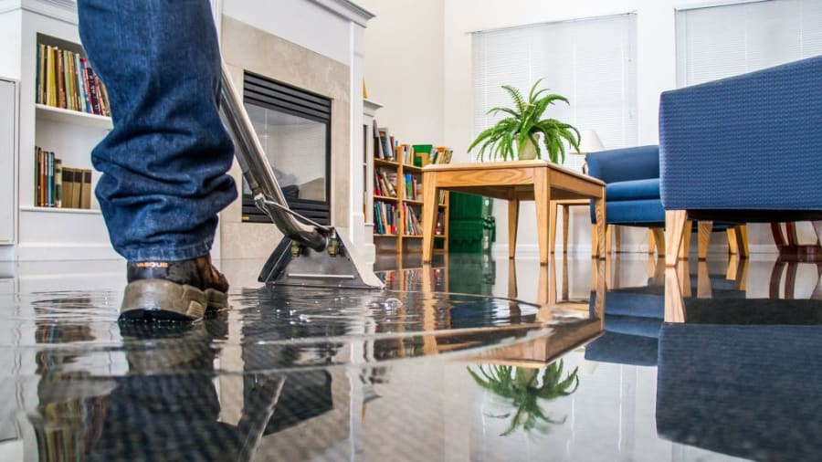 Mitigation & Property Services available in Portland, OR from PG Long