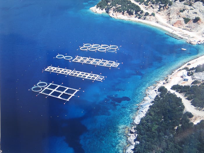 Blue Farm Ιχθυοκαλλιέργειες