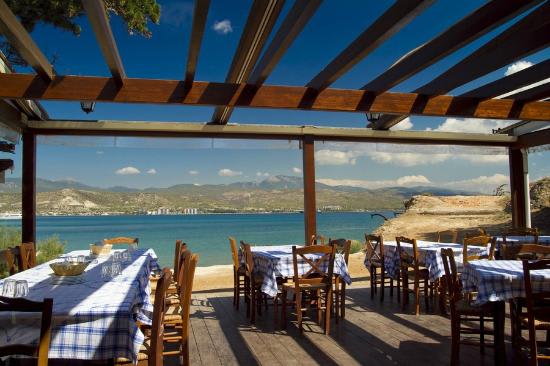 Kavos Fish Tavern