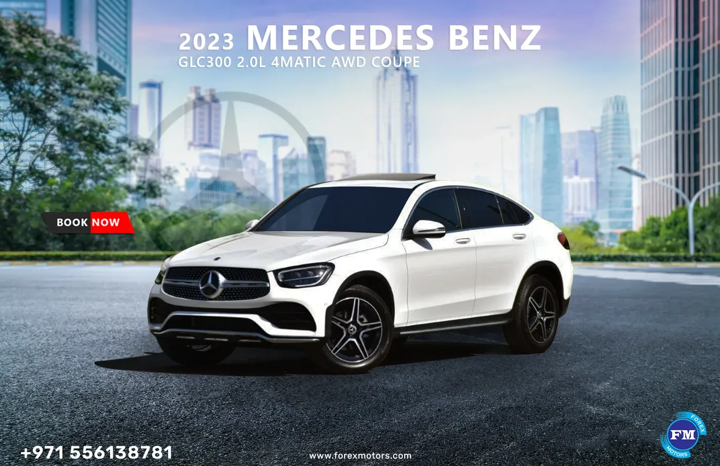 The World of Automotive Excellence: Inside a Car Showroom