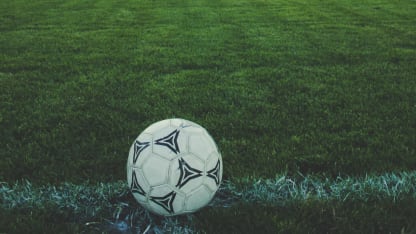 Board approves figures for the first half of 2018/2019