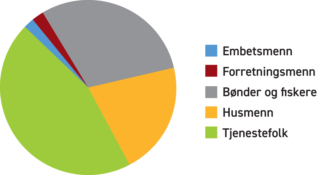 Embetsmenn 3 %, Forretsningsmenn 3 %, Bønder og fiskere 31 %, Husmenn 21 %, Tjenstefolk 42 %. Kakediagram