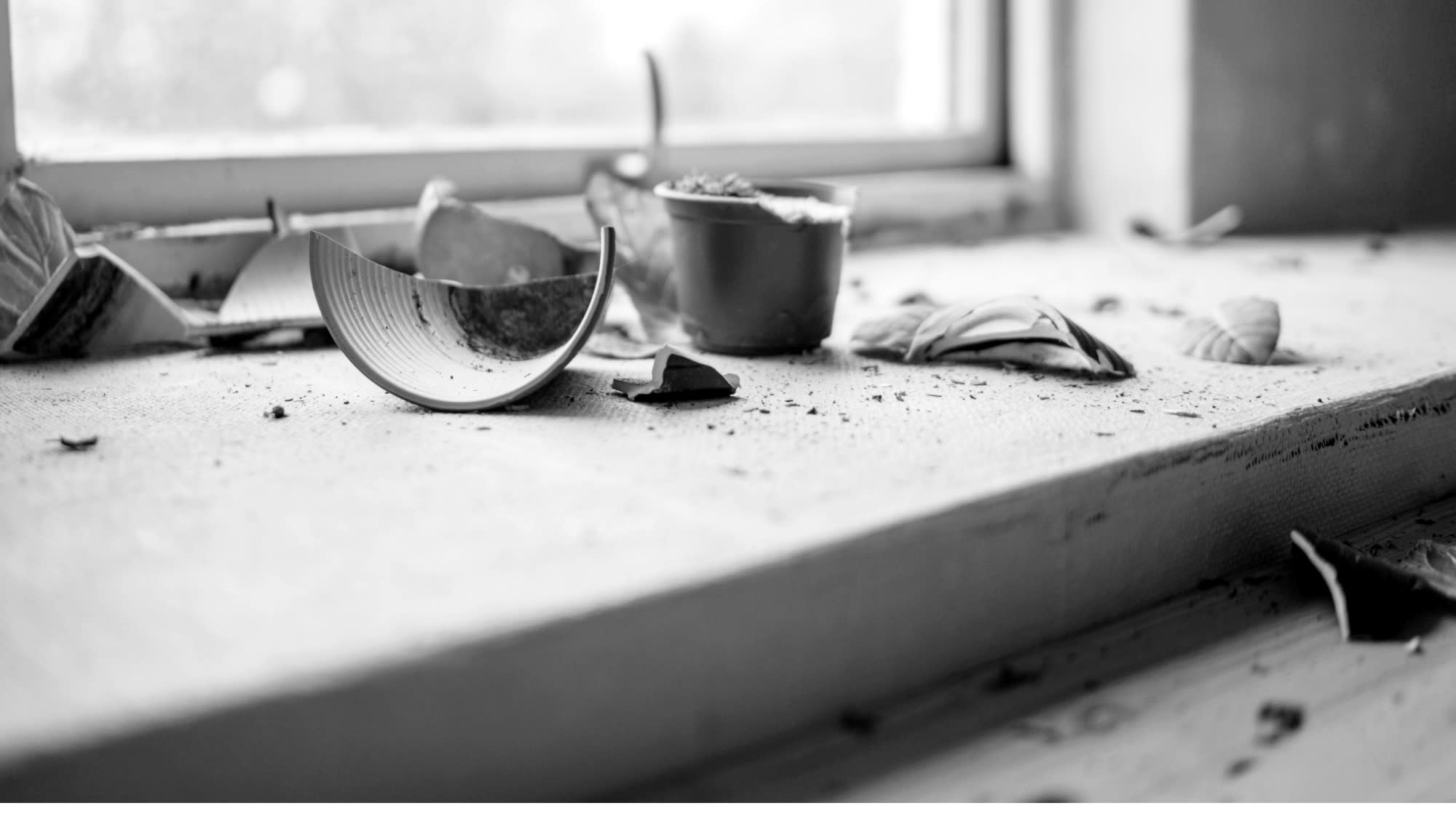 Image of a shattered plant pot sitting on a window ledge