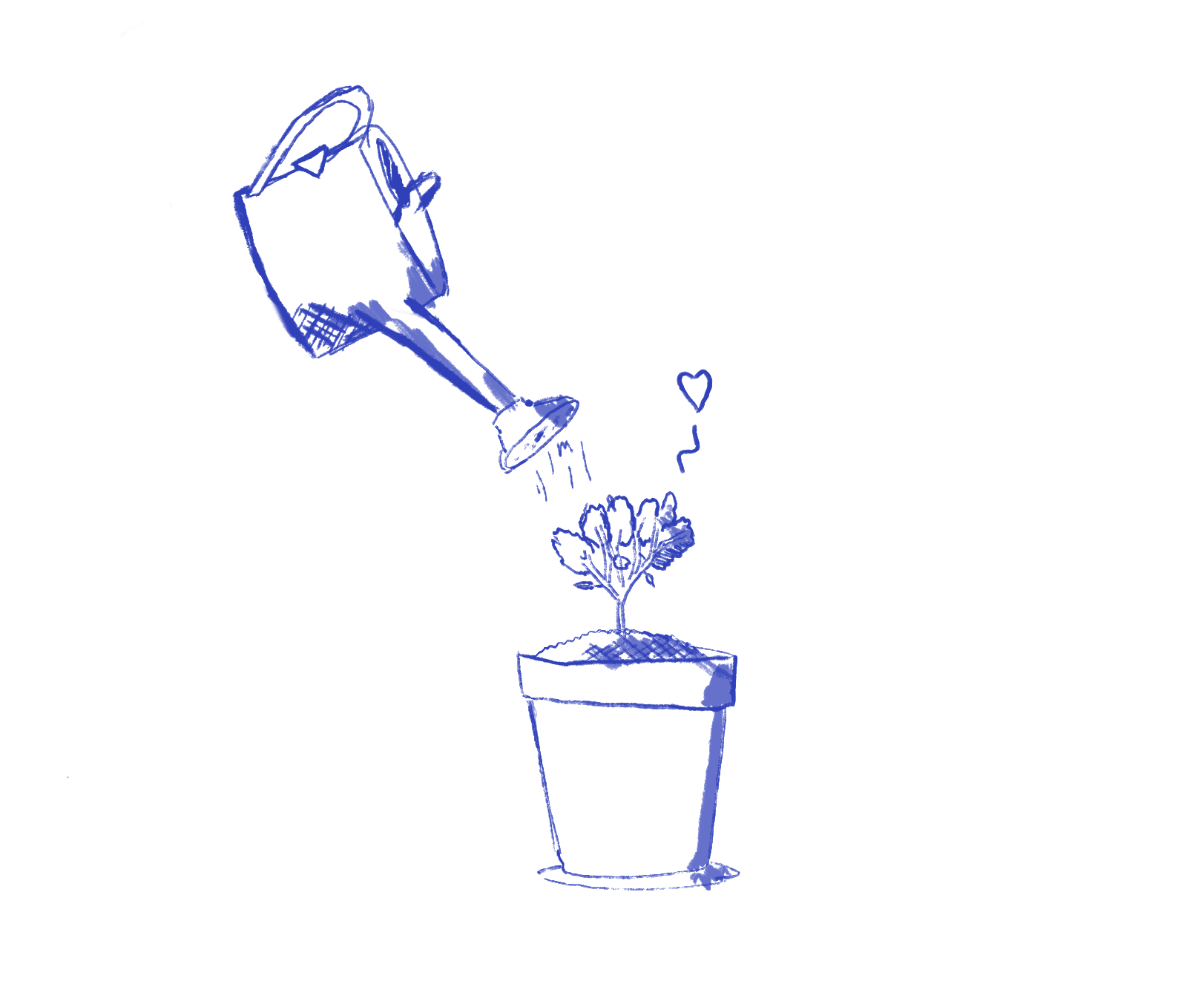 Illustration of a plant being watered from a watering can