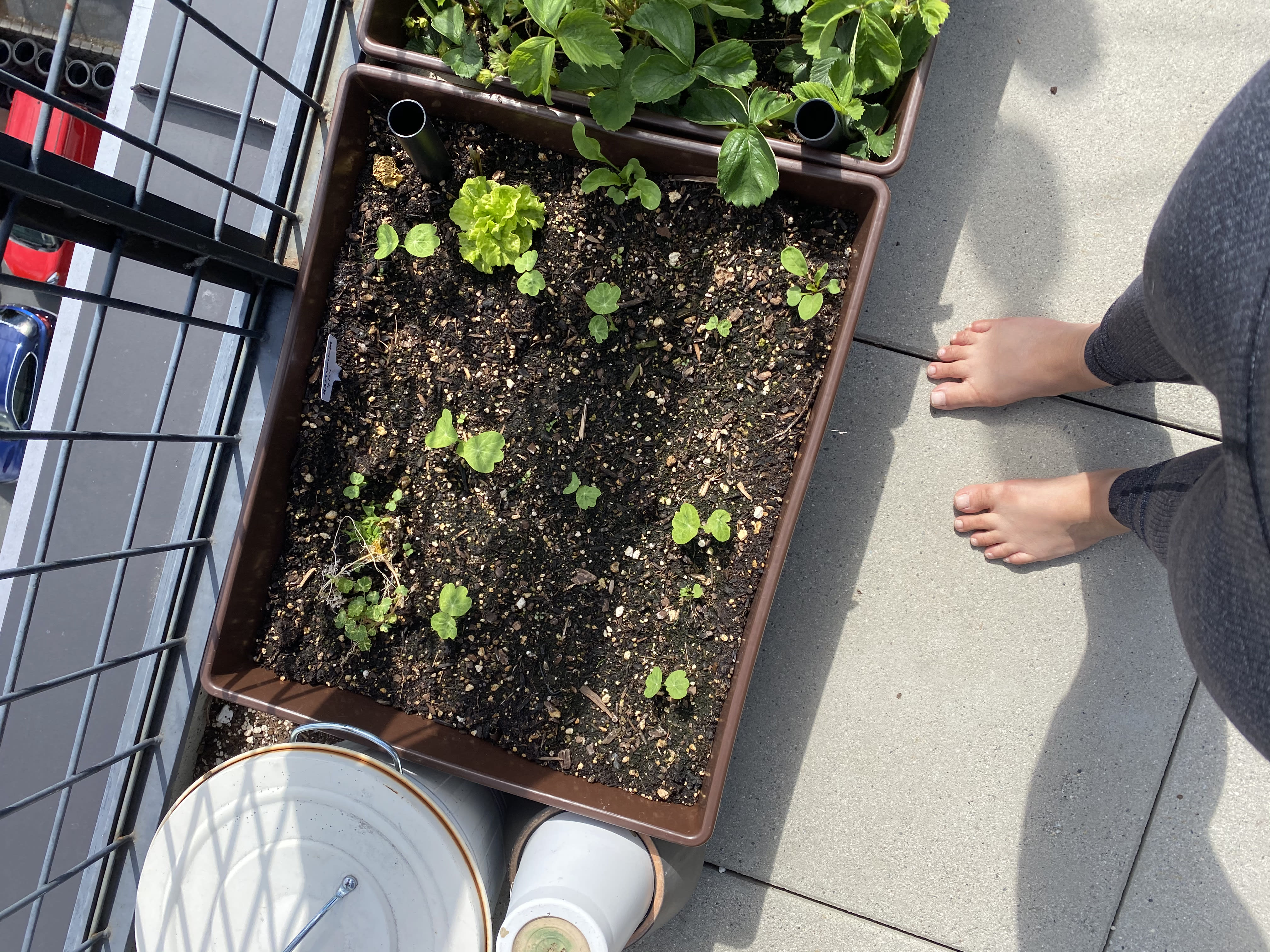 Catleah enjoys growing her own food