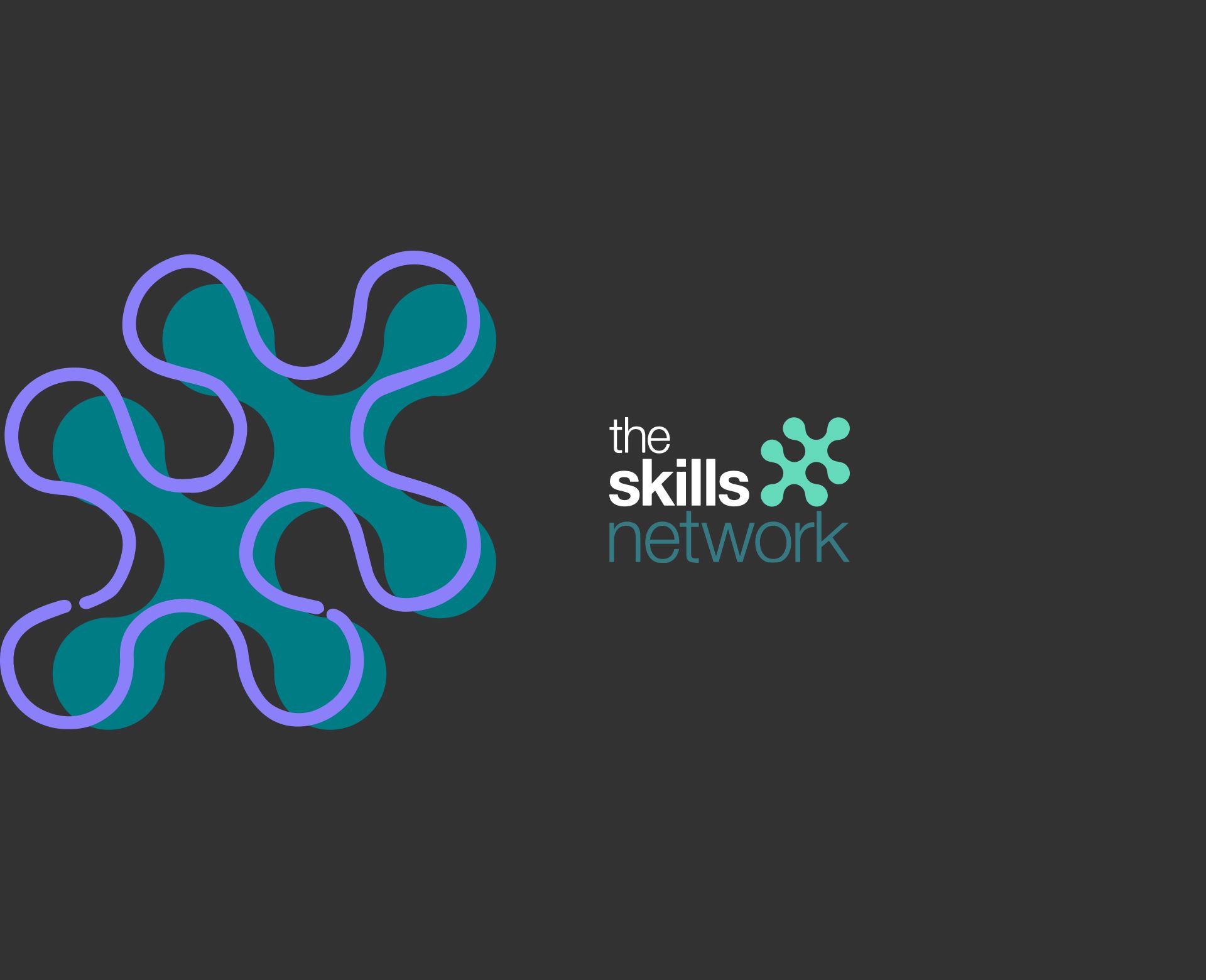 The Skills Network Paid Social Case Study 43 Clicks North