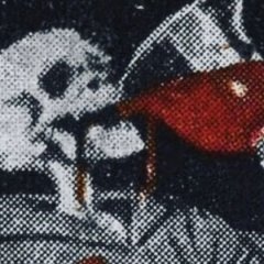 Pirralho Desmiolado