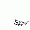 Caterpie CH